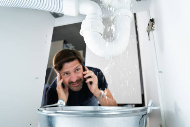 Best Toilet Repair Services  in Indian Head Park, IL